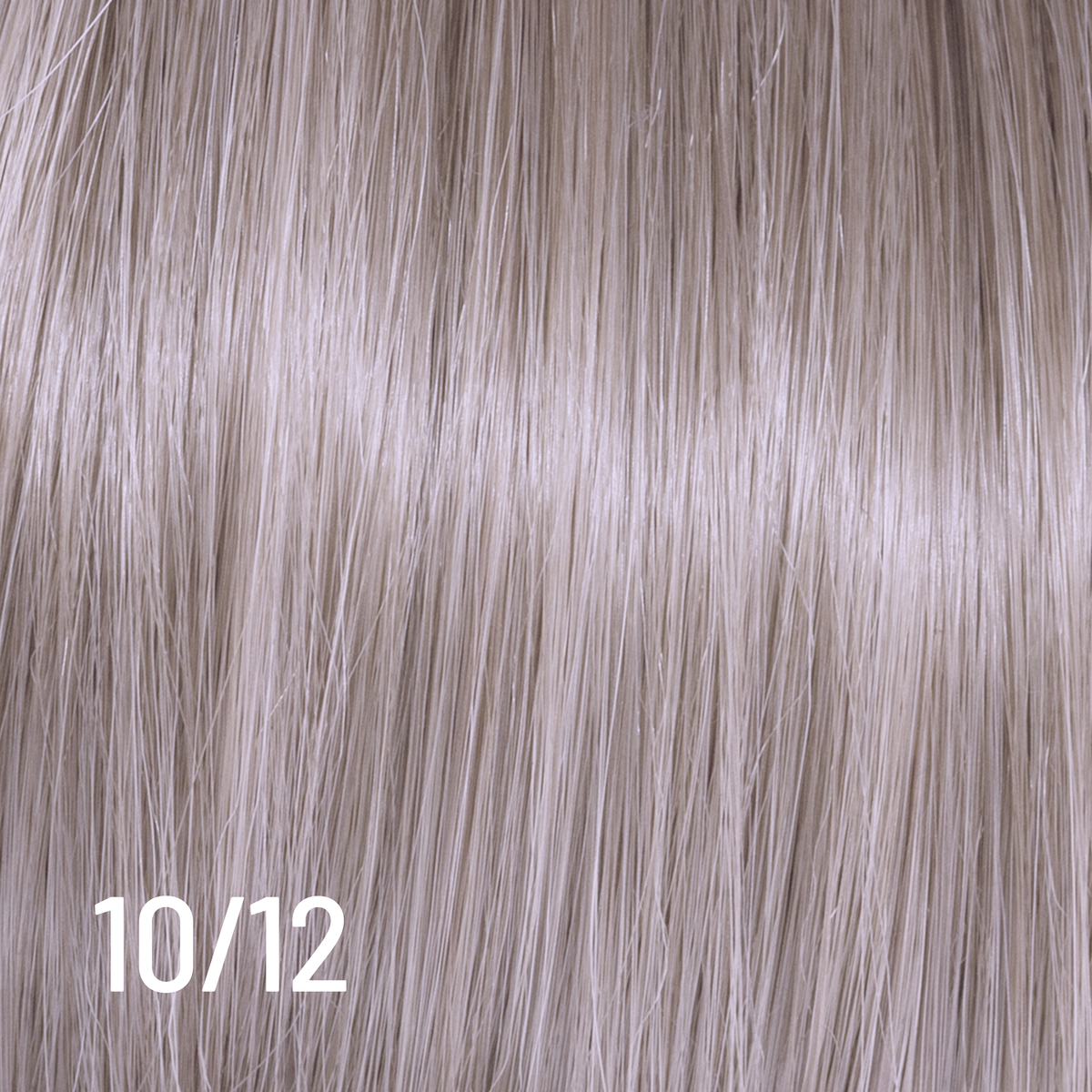 10/12 Platinum Ash Iris – Technofruit professional hair colour by AlterEgo Italy