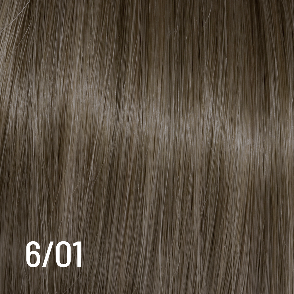 6/01 Cool Dark Blonde – Technofruit professional hair colour by AlterEgo Italy