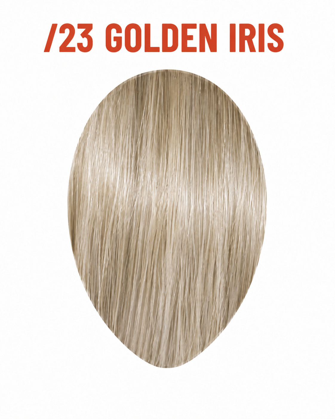 /23 Golden Iris
