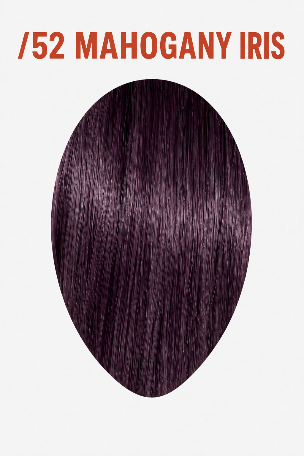 /52 Mahogany Iris
